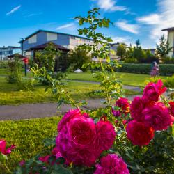 Фото Отель Покровское-Дивное