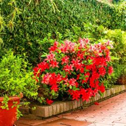 Фото Отель Вилла Валентина