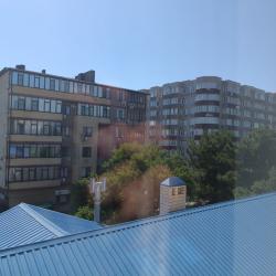 Фламинго — 778adc2412af0a68cd29f1ee19017f79
