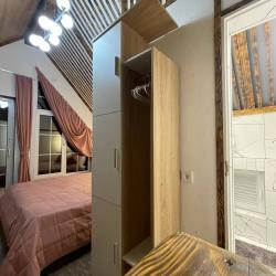 2-комнатные апартаменты люкс (мансарда)