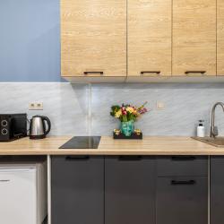 Апартаменты улучшенные Евродвушка в центре рядом с Парком Горького