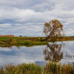 Фото Отель Хаски Хаус
