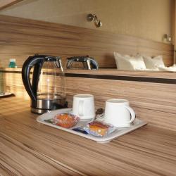 Номер люкс (с завтраком)