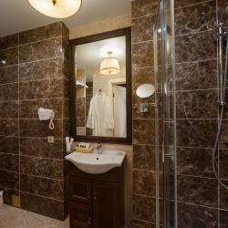 Номер стандарт премиум с 1 двуспальной кроватью