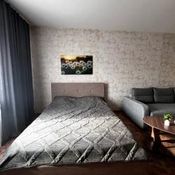 Фото Апартаменты на улице Линейная