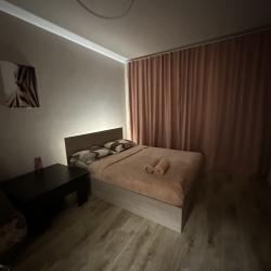 Фото Апартаменты на улице Петра Подзолкова 24