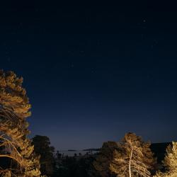 Фото Отель Villa Malina (Вилла Малина)