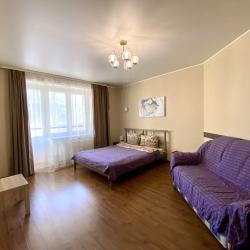 1-комнатные апартаменты стандарт 1-к. кв. ул. Проезжая 25 №26