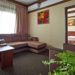Фото Отель Пансионат Лад