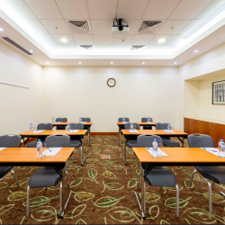 фото 62 Holiday Inn Moscow Sokolniki (Холидей Инн Москва Сокольники)