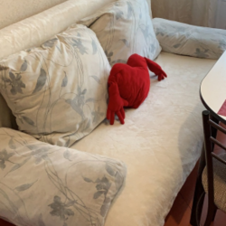 Фото Апартаменты President на улице Советская 35