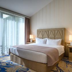 Фото Отель Aurora Resort, Tsaghkadzor (Аврора Резорт, )