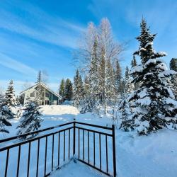 4-местный коттедж премиум