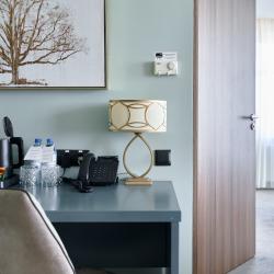 Номер люкс с 1 двуспальной кроватью