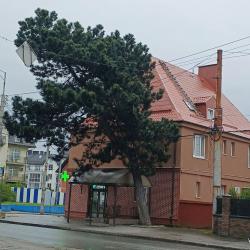 2-местный 1-комнатный номер студия стандарт с 1 двуспальной кроватью