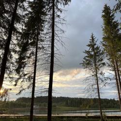 Фото Отель Заповедник