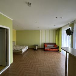 Фото Отель Лев