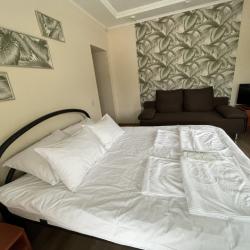 1-комнатные апартаменты студия с 1 двуспальной кроватью