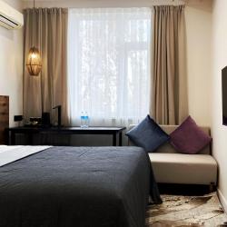 2-местный номер стандарт с 1 двуспальной кроватью