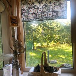 Фото Отель Калинки