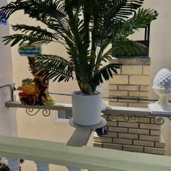 Фото Отель Панорама