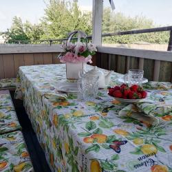 Фото Отель Fikus (Фикус)