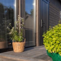 Фото Отель Мятный сад