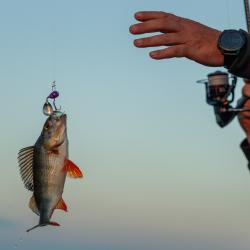 Фото Отель Берег Мологи
