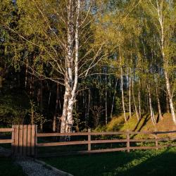 Фото Отель КУЛЬ Прованс