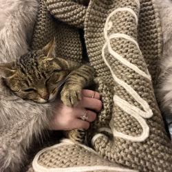 2-комнатный коттедж улучшенный