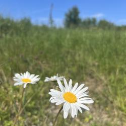 Фото Отель Ладога рядом