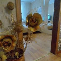 Фото Апартаменты на улице Интернациональная 94