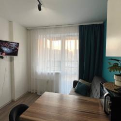 Фото Апартаменты на проезде Толубеевский 38к3