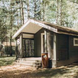 Домик в берёзовой роще