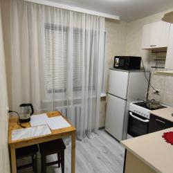 Фото Апартаменты на проспекте Ленина 111А