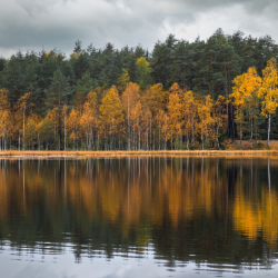 Фото Отель Пасторское озеро