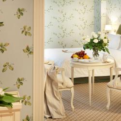 Фото Кронон Парк Отель (Kronon Park Hotel)