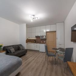 фото 5 Rental (РенталСПб) на улице Среднерогатская 9