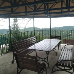 Фото Отель Дома в лесу