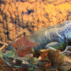 Фото Отель Плаза