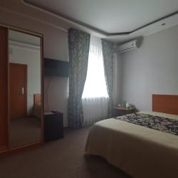 Номер полулюкс с 1 двуспальной кроватью #3