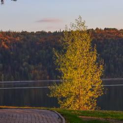 Фото Отель Звездный