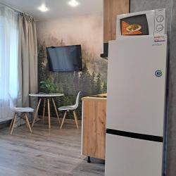1-комнатные апартаменты студия