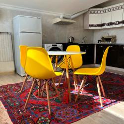 1-комнатные апартаменты стандарт (мансарда)