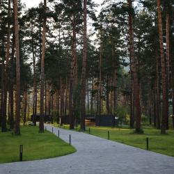 Фото Отель Хвоя в горах