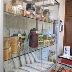 Фото Отель Дивный