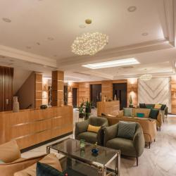 Фото Отель Ateca Hotel Suites (Атека Сьютс)