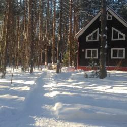 Фото Отель Ягодная деревушка