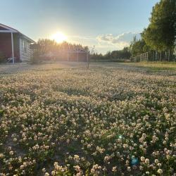 Фото Отель На Волне