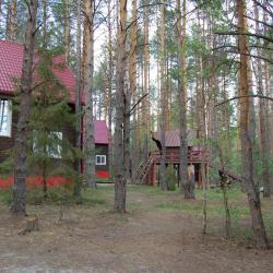 Фото Отель Ягодная деревушка